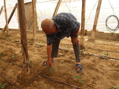 La pensión media de jubilación en el sector agrario se sitúa en 580,85 euros en noviembre