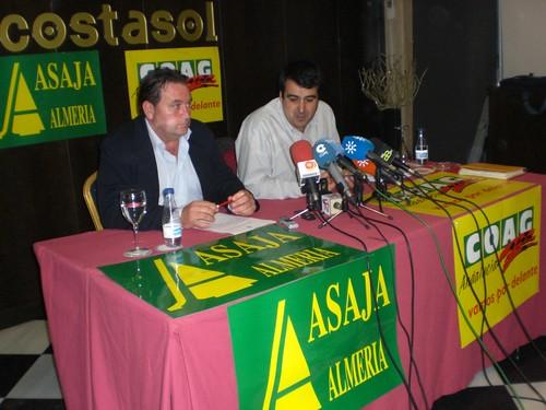 La CNC impone multas a Asaja-Almería, Coag-Almería y la Asociación de Comercializadores Alhondiguistas de Andalucía por fijar precios mínimos en 2009