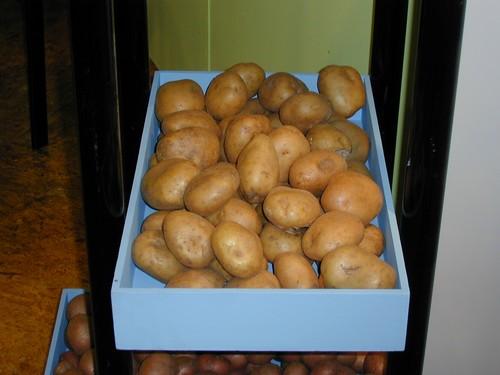 El valor de las importaciones hortofrutícolas cayó un 5% en octubre