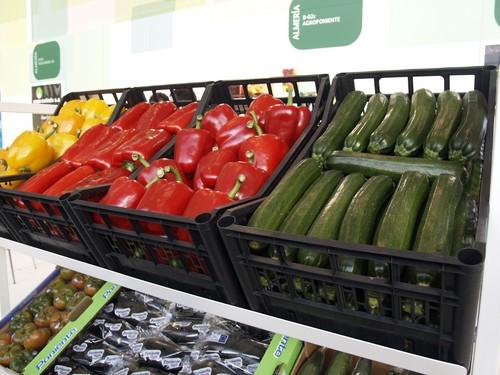 ASAJA-Almería hace balance de 2011 al que considera un año especialmente complicado para el sector agrario de la provincia