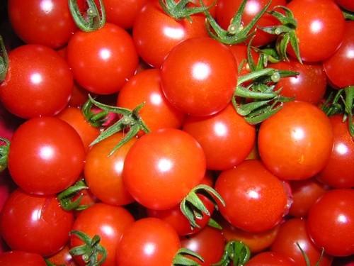 El sector del tomate pierde 15.000 empleos en dos años ante la presión de Marruecos
