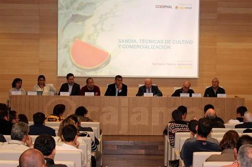 Mejoras técnicas, nuevas variedades e innovación comercial aseguran la rentabilidad del cultivo de sandía