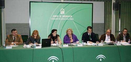 Aguilera anuncia la creación de un grupo de trabajo con el sector que analizará la normativa de calidad en aceite de oliva