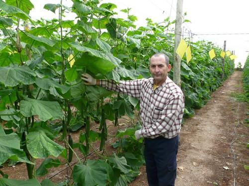 Izquierda Unida denuncia que la derecha permite que el acuerdo con Marruecos arruine a nuestros agricultores