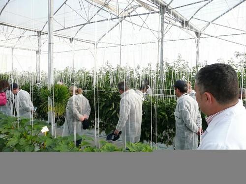 La Fundación Cajamar muestra sus ensayos de innovación al sector agroalimentario