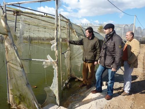 El equipo de gobierno tacha de “irresponsable” al consejero de Medio Ambiente ante su pasotismo por la Balsa del Sapo