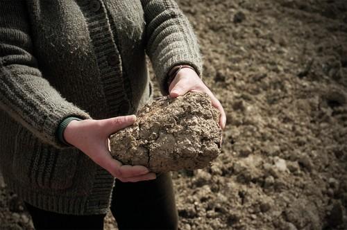 El campo español, paralizado por la sequía más grave de los últimos 60 años