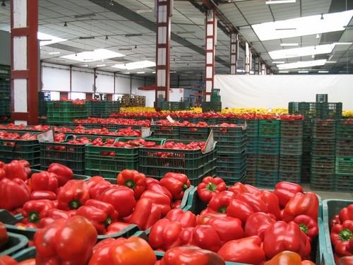 El sector clama por un nuevo orden en el comercio para lograr mejores precios