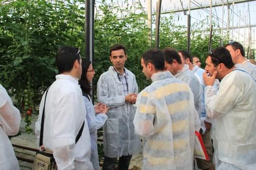 Coexphal muestra a agricultores y agronomos griegos las técnicas de producción y comercialización del “modelo Almería”