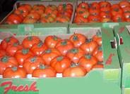 La Consejería de Agricultura organiza un curso sobre asociacionismo y comercializació