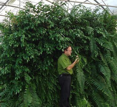La Universidad de Almería patenta un sistema de módulos para muros vegetales que ahorra agua
