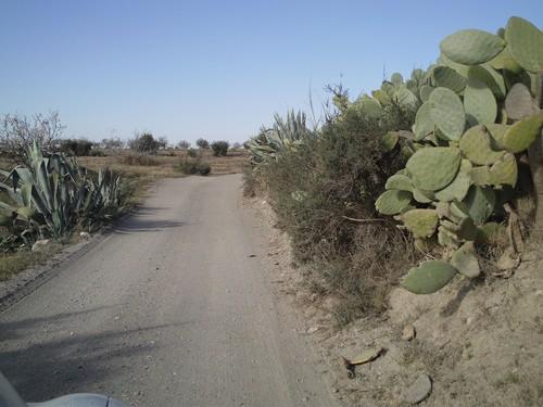 La Junta inicia el lunes las obras de mejora de cinco caminos rurales del Ayuntamiento de Huércal-Overa
