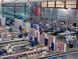 Vicasol ampliará sus instalaciones de manipulado en 16.000 metros cuadrados