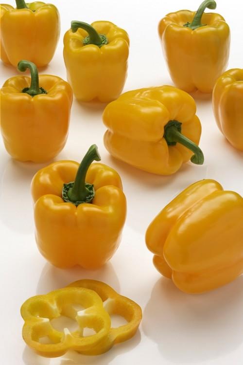 Las variedades de pimiento California de Ramiro Arnedo Semillas cubren todo el ciclo en todos los colores