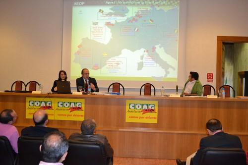 El sector agrario aboga por la unión de los productores para organizar la comercialización