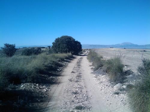 La Junta de Andalucía arreglará más de 5 kilómetros de dos caminos rurales en María