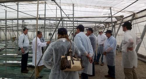 La Cátedra Cajamar-UAL ofrece la edición más internacional del curso en agricultura bajo plástico