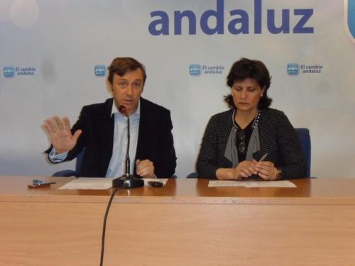 El PP pide a la Junta que defina su participación y competencias en el proyecto de la Balsa del Sapo