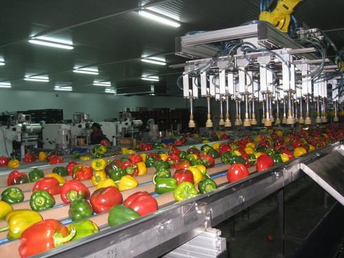 La Junta entrega una subvención de 2,18 millones de euros a Alhóndiga La Unión para racionalizar su actividad agroindustrial