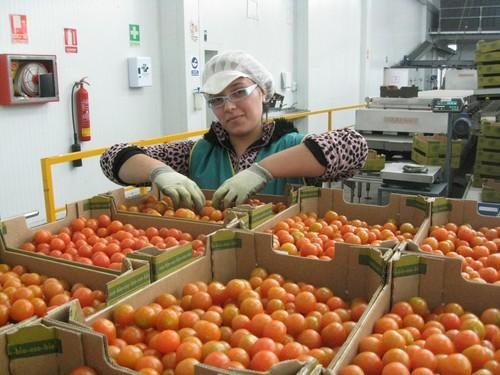 La CE muestra su 'preocupación' por los 'desequilibrios' en el poder de negociación en las cadenas de distribución