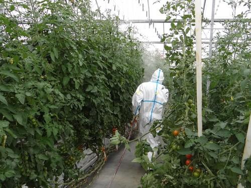 La Fundación Cajamar y AEPLA forman a agricultores y técnicos en el uso eficiente de fitosanitarios