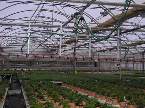 La Consejería de Agricultura actualiza conocimientos sobre manejo del clima en invernaderos a técnicos agrícolas