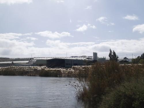ASAJA-Almería estará presente el lunes en una marcha con los afectados por la problemática de la Balsa del Sapo
