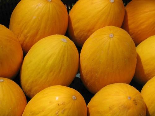 El melón amarillo mantiene un precio aceptable debido a los escasos volúmenes