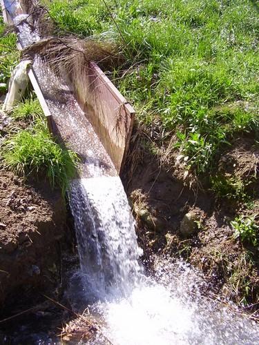 La Justicia da la razón a un agricultor al que Rambla Morales reclamaba cuota de asociado sin haber usufruido nunca de agua