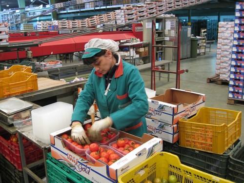 El valor de las exportaciones de frutas y hortalizas de Almería crece un 6,4% entre enero y abril