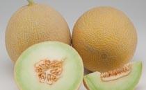 Enza Zaden organiza una Jornada de Melón el próximo jueves en Murcia