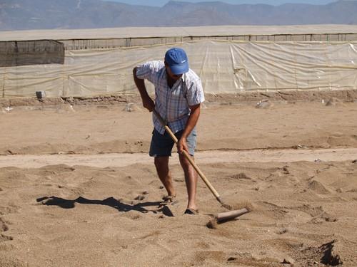 Cada agricultor invertirá unos 20.000 euros sólo para poder iniciar la nueva campaña agrícola
