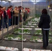 CERES Almería celebra este jueves una jornada informativa sobre los canales cortos de comercialización