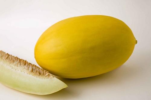 Semillas Fitó participa en el proyecto internacional que obtiene el genoma del melón