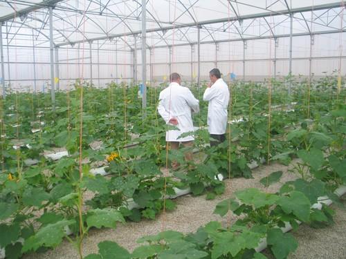La Junta celebra un curso sobre empresa agraria para la incorporación de jóvenes a la agricultura intensiva