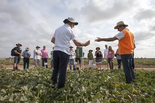 Rijk Zwaan reúne a profesionales de más de 20 países en sus Jornadas Internacionales de Melón