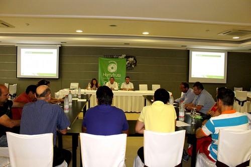 La producción y la comercialización hortofrutícolas están estancadas, según Hortyfruta