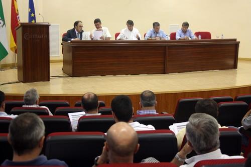 Las cooperativas de aceite de oliva de FAECA estiman una bajada de producción en Andalucía superior al 50 por ciento durante la campaña 2012-2013