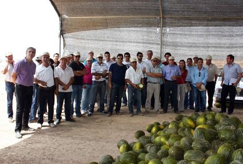 Syngenta muestra a productores y comercializadores sus avances en variedades de melón y sandía adaptadas a las exigencias de la cadena agroalimentaria
