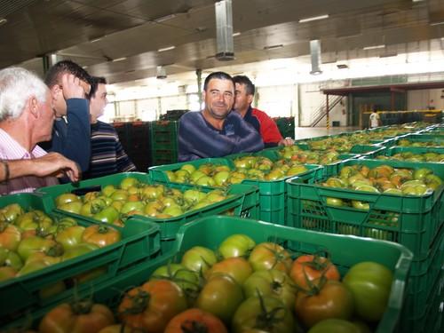 El gigante Agrupaejido pierde fuelle en el sector al vender Cehorpa a Costa de Almería