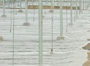 COAG Almería informa de cómo queda la situación del sector agrario tras la subida del IVA