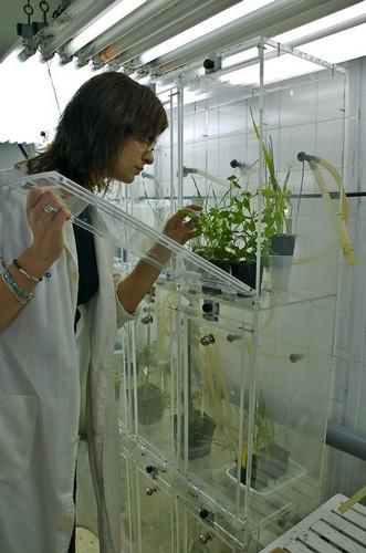 Agricultura incorpora a jóvenes investigadores para reforzar sus líneas prioritarias de investigación