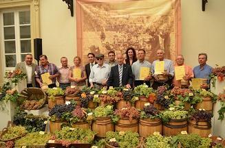 Diputación ayuda a recuperar más de 60 variedades de uva de la provincia