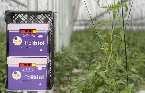Biomip desarrolla un programa de gestión de colmenas usadas