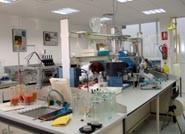 Innovar, única vía para garantizar la producción agrícola en Europa