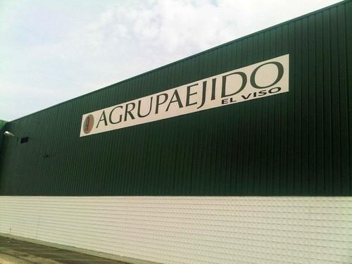Agrupaejido abre el lunes su nueva subasta en El Viso