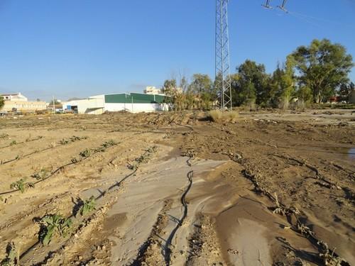Junta y ayuntamientos costeros limpiarán los restos agrícolas acumulados en las playas tras las inundaciones