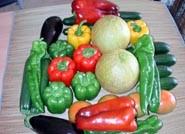La exportación hortofrutícola española a países fuera de la UE crece un 10% hasta julio