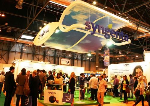Syngenta potenciará en Fruit Attraction la imagen de nuevas variedades como Angello y aspectos de consumo como la conservación de la fruta