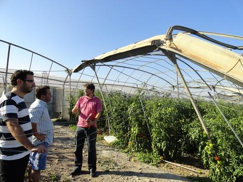 ASAJA pide diligencia en la llegada de medidas de apoyo para el Levante y denuncia la sensación de abandono que existe entre agricultores y ganaderos